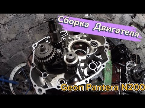 Видео: Geon Pantera N200/Сборка двигателя 200сс/Часть #1