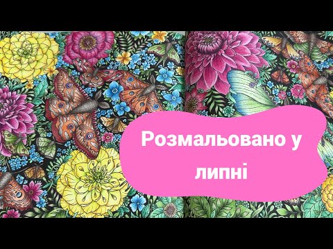 Видео: Розмальовано за липень 2025/Completed Coloring Pages July 2025