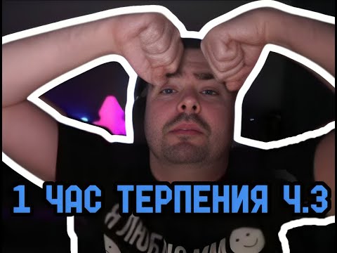 Видео: 1 ЧАС ТЕРПЕНИЯ ОТ СТРЕЯ | Ч.3