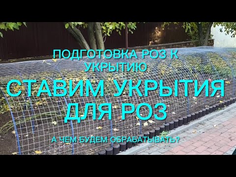 Видео: Розы. Ставим укрытия . Обрезка полным ходом. Ох и не легкое это дело. А что ещё…. 🌹🌹🌹