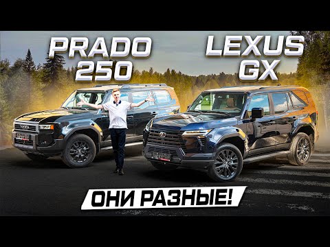 Видео: Абсолютно РАЗНЫЕ! LEXUS GX550 3.4T против Toyota Land Cruiser PRADO 250 2.4T