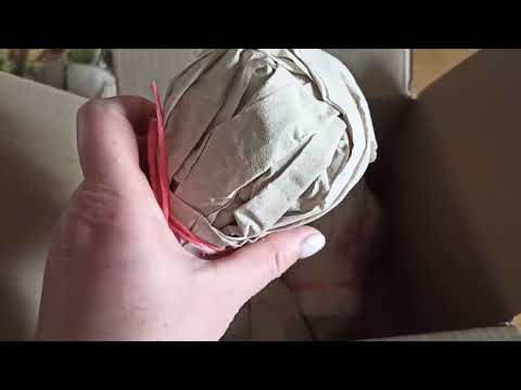 Видео: Вгадайте що мені знову захотілося з рослин 🤗