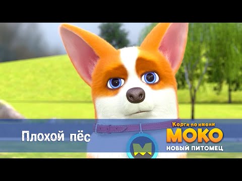 Видео: Корги по имени Моко. Новый питомец - Серия 10.Плохой пес - Премьера мультфильма