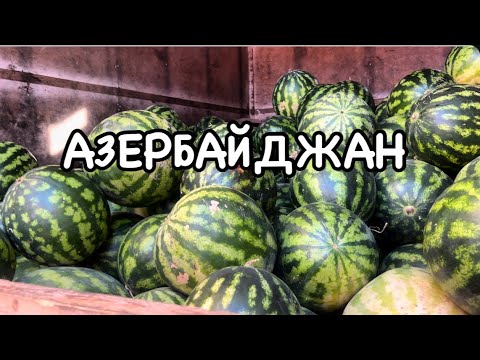 Видео: БАКУ.КАСПИЙСКОЕ МОРЕ.ПОКУПАЕМ ФРУКТЫ#azerbaycan#baku#еда#food#yummyfood#бакинцы#travelvlog#