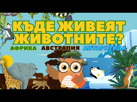 Видео: КЪДЕ ЖИВЕЯТ ЖИВОТНИТЕ | Африка, Австралия и Антарктида 🪴❄️💧ЛЪВ, ПИНГВИН, КЕНГУРУ #животни #деца 