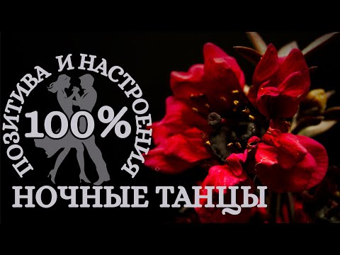 Видео: Гарантированные 100% позитива и настроения. Ночные танцы цветов 