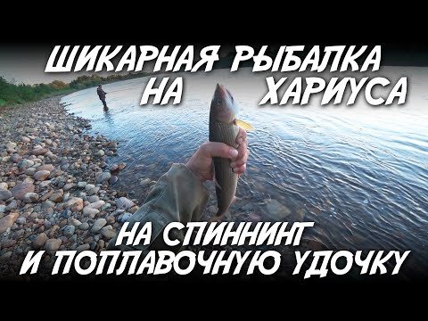 Видео: Шикарная рыбалка на хариуса на спиннинг и поплавочную удочку