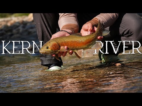 Видео: Исследуем местный оплот форели в Калифорнии