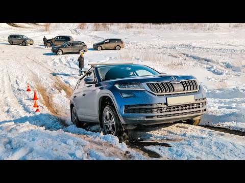 Видео: СЕМЕЙНАЯ Skoda Kodiaq ДОМИНИРУЕТ над Range Sport и VW Touareg, Subaru Tribeca, Volvo XC90