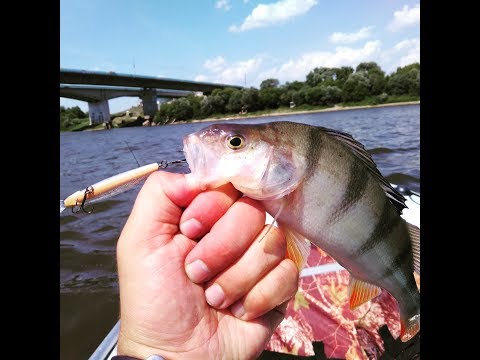Видео: Сплав по Оке от Серпухова до Каширы с ночевкой.