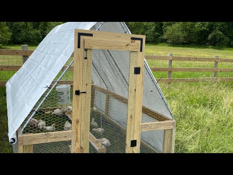 Видео: Куриный трактор Сусковича | Альтернативный метод строительства крыши с водосточной трубой