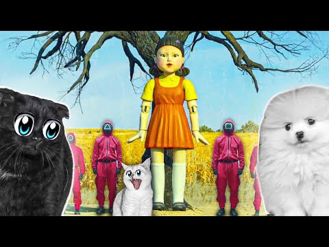 Видео: КОШКИ играют в Игру КАЛЬМАР в РЕАЛЬНОЙ ЖИЗНИ!!!