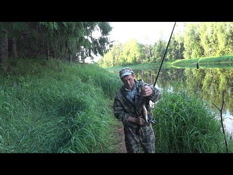 Видео: Хотнежи. Приятная рыбалка. Красивые пейзажи.