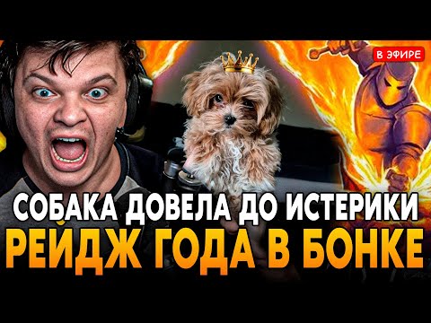 Видео: РЕЙДЖ ГОДА из-за ЛУЛИКА! СОБАКА ДОВЕЛА ДО ИСТЕРИКИ! SilverName Сильвернейм Megabonk