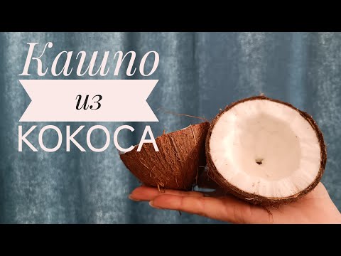 Видео: Кашпо из кокоса