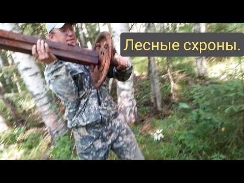 Видео: Ищем металл , лесные урочища!