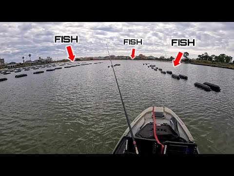 Видео: Я НИКОГДА не прохожу мимо ЭТИХ мест, не поймав БОЛЬШУЮ рыбу!!