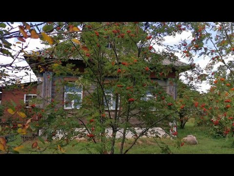 Видео: Дом в деревне | Провел электричество до бани, решил проблему дымохода. Монтирую внешнее освещение.