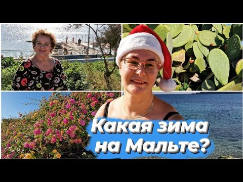 Видео: Мальта зимой.Можно ли купаться зимой на Мальте?Пляжи.Погода на Мальте зимой.Природа острова.Влог