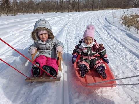Видео: Зимние прогулки