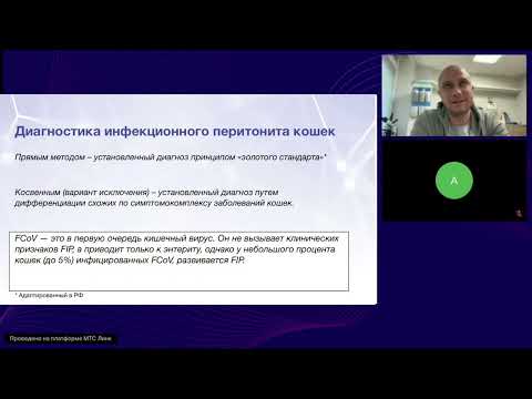 Видео: Вебинар с Павлом Лобановым: углубляемся в практику ветеринарного врача