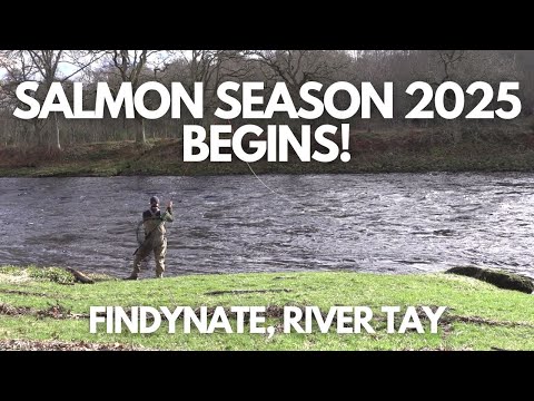 Видео: 🎣🐟Эпический первый состав: начинается весенний лососевый сезон 2025 года!🐟🎣