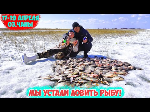 Видео: Мы устали ловить Рыбу! оз. Чаны
