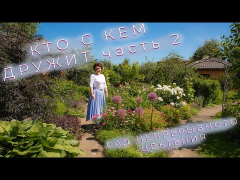 Видео: Кто с кем дружит часть 2 I Сад Непрерывного Цветения