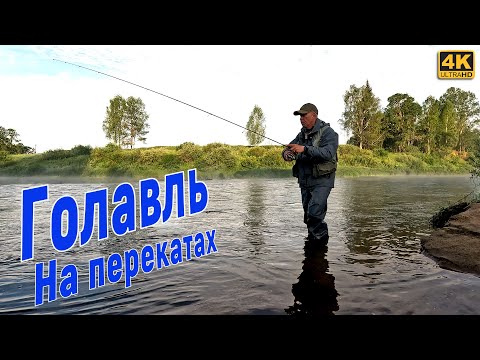 Видео: Почему Рыбалка в ВЕЙДЕРСАХ на ГОЛАВЛЯ Лучше Обычной Рыбалки?