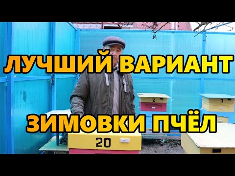 Видео: Лучший вариант зимовки пчел.