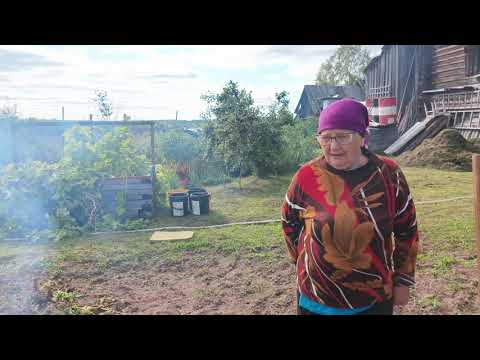 Видео: Выкопали картошку , собрали ягоды, наши покупки.