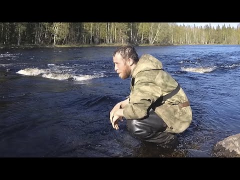 Видео: Брожу по Тайге