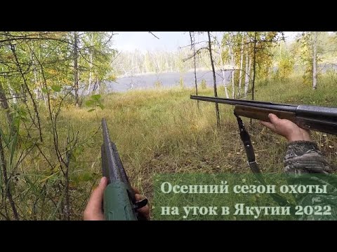 Видео: Осенняя охота на утку с подхода в Якутии 2022