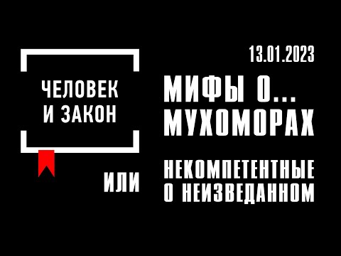 Видео: Человек и закон. Мифы о мухоморах, или Некомпетентные о неизведанном. Михаил Вишневский