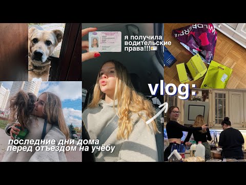 Видео: провожу последние дни в Москве и катаюсь на машине, потому что получила права 😎🪪(влог)