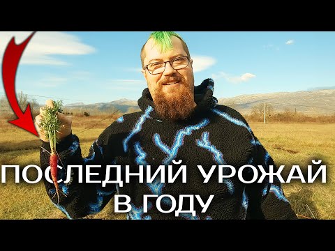 Видео: Первый год деревенской жизни, что с урожаем и участком?