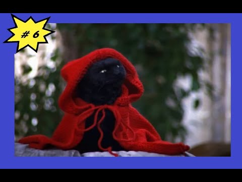 Видео: Кот Сэйлем - лучшие моменты 6 сезон. Сабрина - маленькая ведьма