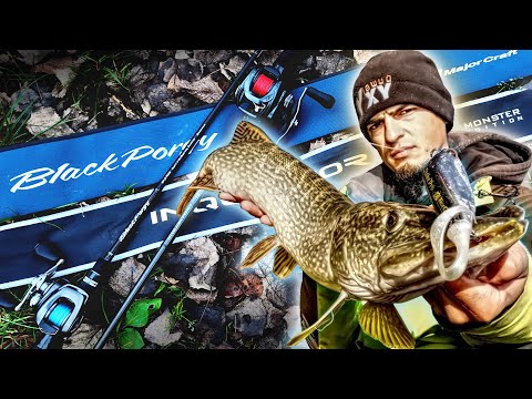 Видео: Кастинговий джиг Major Craft Black Porgy та бігбейтовий Golden Catch Inquisitor Monster Edition