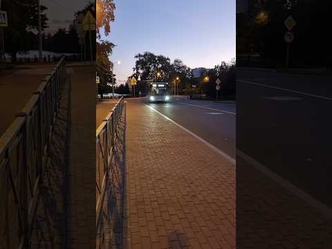 Видео: Автобус МАЗ-206 №32303, по 309 | Г. Сестрорецк, улица Воскова #автобус #топ #спб #осень