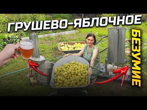 Видео: Как Быстро переработать ОЧЕНЬ много фруктов . Фруктовый спецназ - Дробилка , Пресс и Зоя !