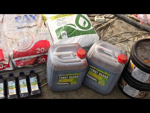 Видео: ПОМИДОР МЕВАСИНИ ТЕЗРОК ЙЕТИЛИШИ ВА ЯЛТИРАБ КИЗАРИШИ УЧУН ТАЙЙОР РЕЦЕПТ