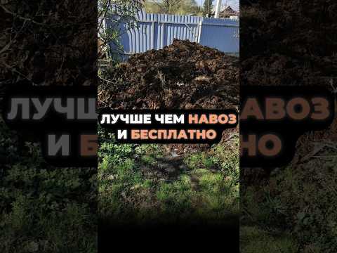 Видео: ЛУЧШЕ чем НАВОЗ, почва становится плодородной после этого #урожай #дача #сад #подкормка