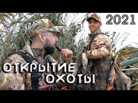 Видео: Открытие охоты 2021 | Супер-охота на уток с собаками
