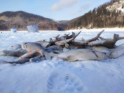 Видео: ПОЙМАТЬ ЛЕЩА В -35