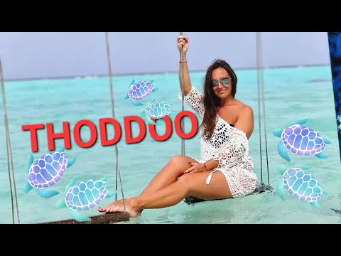 Видео: Урааа!!! Мы на Тодду (Thodhoo). 🐠Риф🪸 с черепахами🐢. и пальмы🌴 с качелями.