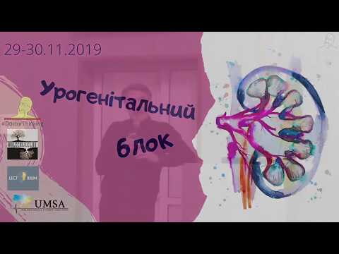 Видео: Великі ниркові синдроми  Гостра та  хронічна ниркова недостатність  Нефротичний синдром