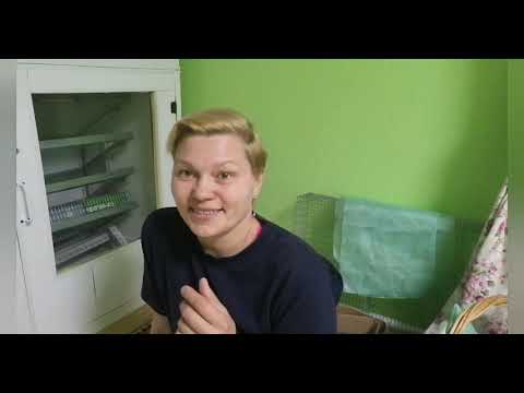 Видео: Инкубация гусиных яиц