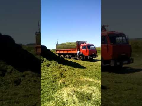 Видео: Закладываем сенаж в курган 18 06 2020