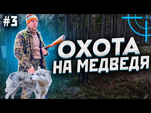 Видео: Охота на медведя с лайками от А до Я на Кольском пол - ве  весна 2022 г.