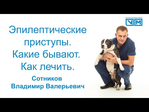 Видео: Эпилептические приступы какие бывают ,как лечить.